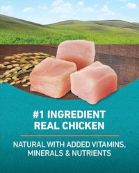 Number 1 ingredient real chicken natural with added vitamins minerals and nutrients