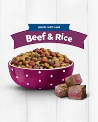 Beef and Rice bowl of kibble