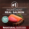 Real Salmon - Ingredient #1