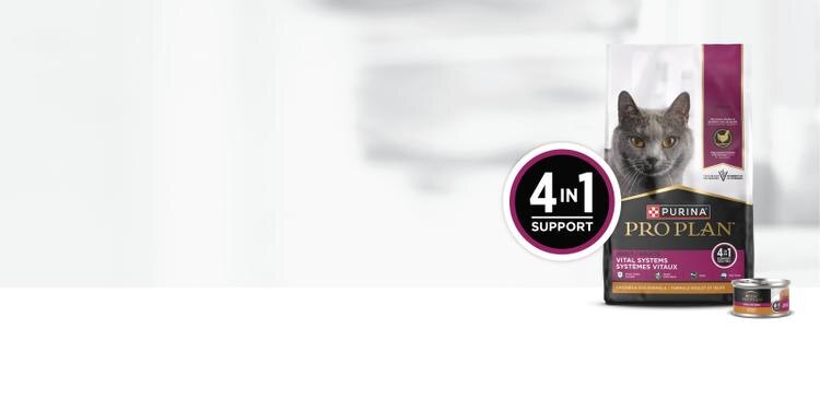 4-in-1 Support for Your Cat’s Vital Systems