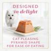 fancy feast gems salmon pyramid