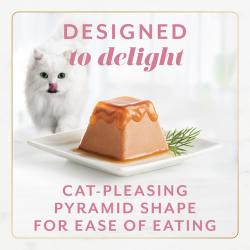 fancy feast gems salmon pyramid
