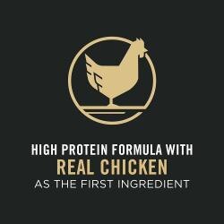 High protein formula with real chicken as the first ingredient