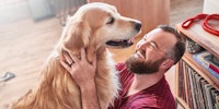 man smiling while petting golden retriever dog
