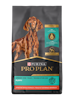 Pro Plan Puppy Sensitive Skin & Stomach Salmon & Rice Formula