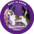 Buddy Holly, a Petit Basset Griffon Vendeen, Best in Show and Hound Group Winner