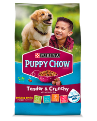 Tender and crunchy puppy chow dry puppy food