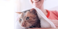 woman holding a cat wrapped in a towel