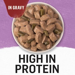 high in protein