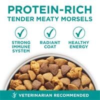 trozos tiernos y jugosos ricos en proteínas