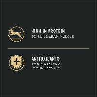 con alto contenido de proteínas y antioxidantes