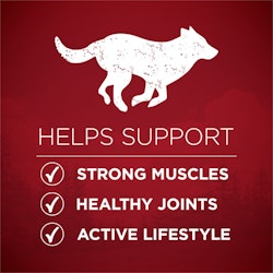 Helps Support Strong Muscles, Healthy Joints & Active Lifestyle