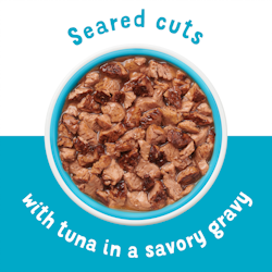 Seared cuts in savory gravy
