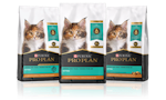 Línea de productos de alimento para gatitos Pro Plan