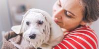 woman holding a white dog wrapped in a towel