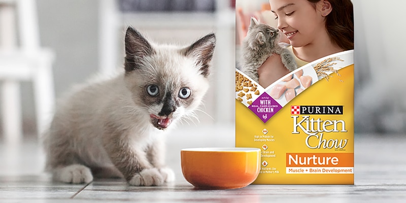 Nourish the Now with Puppy Chow & Kitten Chow | Purina