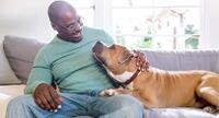 man with brown dog on couch