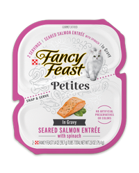 Petites Seared Salmon Entrée With Spinach In Gravy