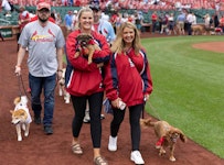 A group of people walking dogs on the Cardinals baseball field