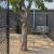 pet relief area