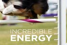 incredibleenergy