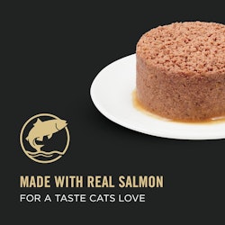Hecho con carne real de salmón para dar un sabor que a los gatos les encanta