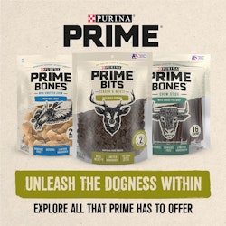 Purina Prime. Unleash the dogness within. Explore all that Prime has to offer.