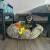 space to heal and bond, dog on pet bed