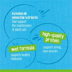 includes all essential nutrients that support the maintenance of adult cats
