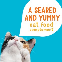Un complemento de alimento para gatos sabroso y sellado