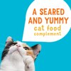 Un complemento de alimento para gatos sabroso y sellado