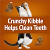 Crunchy Kibble Helps Clean Teeth 