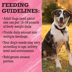 feeding guidelines