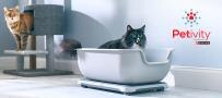 Petivity litter monitor - cat in litter box
