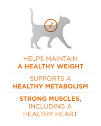 Ayuda a mantener un peso saludable. Contribuye a un metabolismo saludable. Músculos fuertes y corazón saludable
