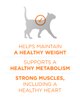 Ayuda a mantener un peso saludable. Contribuye a un metabolismo saludable. Músculos fuertes y corazón saludable