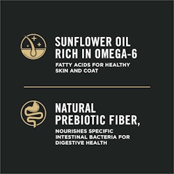sunflower oil rich in omega-6, natural prebiotic fiber