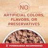 no artificial colors, flavors, or preservatives