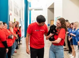 purina team and duo dogs team pairing a new puppy with a volunteer