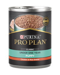 Purina Pro Plan Development Puppy Chicken & Rice Entrée Classic