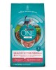 Purina ONE® +Plus Healthy Kitten Dry Cat Food