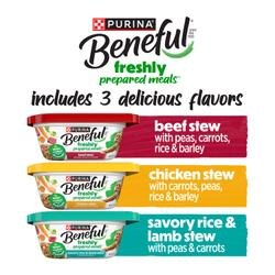 Beneful Freshly Prepared Meals Wet Dog Food Variety 6 Pack VP flavor