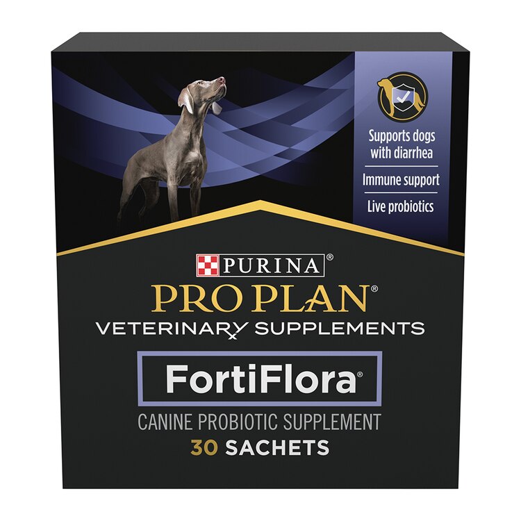 How often do dogs puppies need to pee purina us