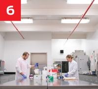 lab techs inspecting product