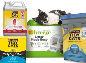 Tidy Cats Litter Box Tips - Best Litter
