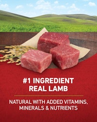 Number 1 ingredient real lamb natural with added vitamins, minerals, and nutrients