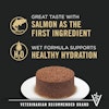Great Taste With Salmon As The First Ingredient