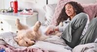 A puppy rolled over on its back laying on a bed while owner is petting its stomach
