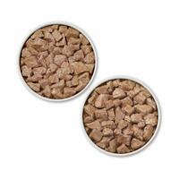 Dog food in bowl