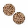 Dog food in bowl